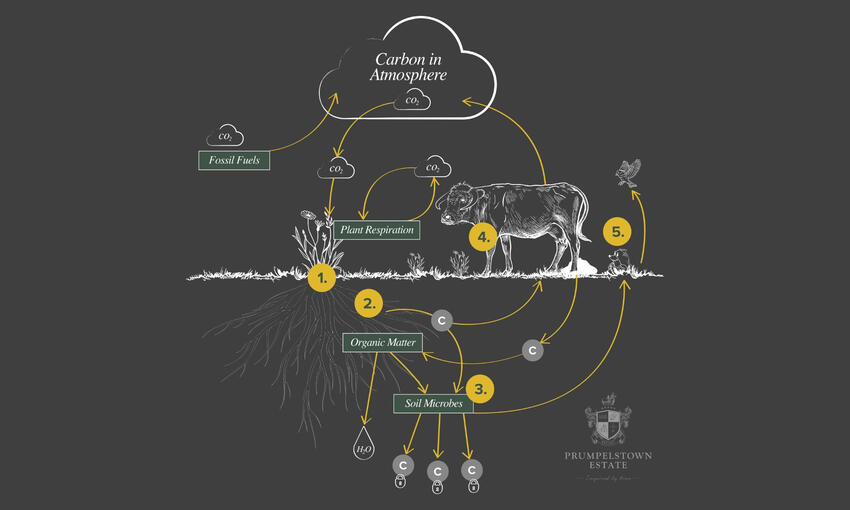 regenerative agriculture explanation chart 