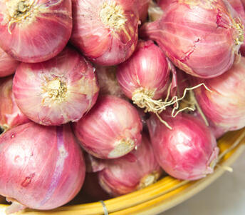 shallots